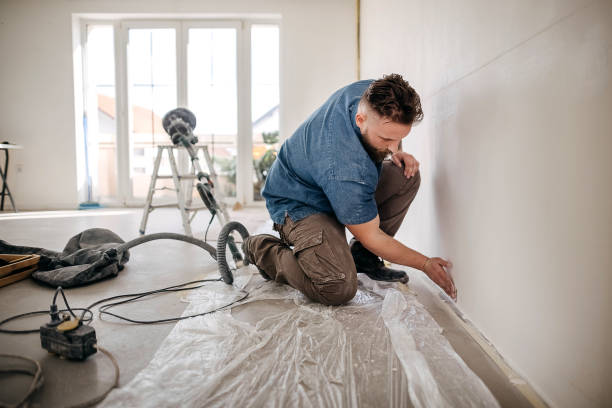 Best Drywall Installation  in Hampton, IL